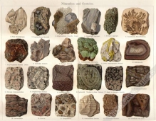 [rycina, 1897] Mineralien und Gesteine [minerały i skały]