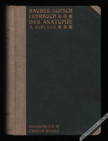 Rauber's Lehrbuch der Anatomie