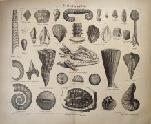 [rycina, 1877] Kredaformation [formacje kredy]