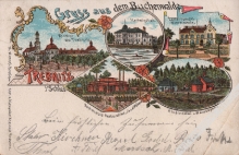 [pocztówka, 1899] Gruss aus dem Buchenwalde. Trebnitz i. Schles. [Trzebnica]