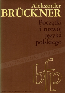 Początki i rozwój języka polskiego