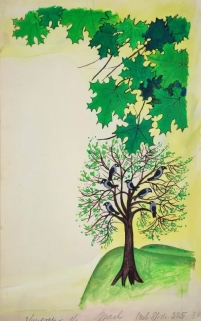 [rysunek, 1978] "Nadzieja ma kolor zielony" [Ilustracja do wiersza Wandy Chotomskiej]