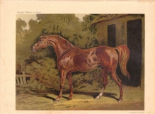 [rycina] Eclipse. From an Original Picture in the Possession of Edmund Tattersall