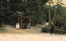 [pocztówka, 1904] [Międzyzdroje. Kawcza Góra] Misdroy. Waldpartie am Wege zum Kaffenberg