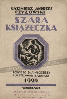 Szara książeczka. Powieść dla młodzieży