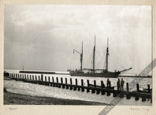 [fotografia, lata 1930] Zawisza Czarny