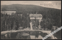 [pocztówka, 1908] Bad Ziegenhals. Restaurant Waldesruh  [Głuchołazy]
