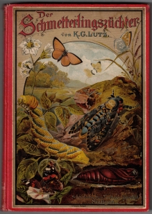 Der Schmetterlingszüchter. Lebens- und Entwicklungsweise unserer einheimischen Schmetterlinge nebst einer Anleitung zur Schmetterlingszucht.