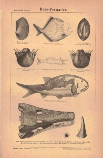 [rycina, 1875] Dyasformation. [zwierzęta wymarłe]