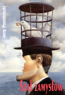 Szał zamysłów