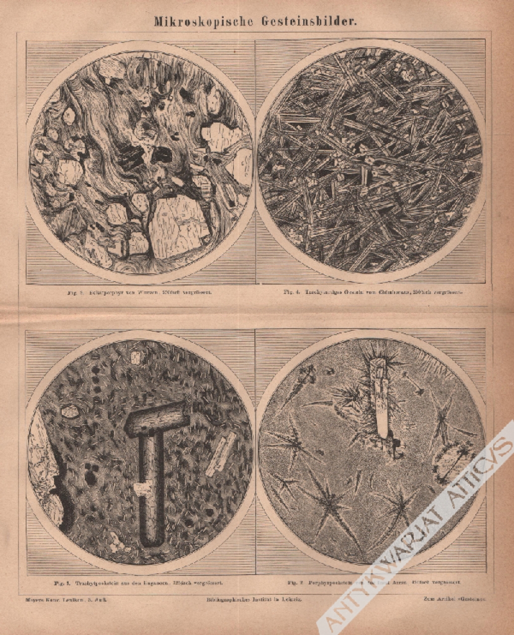 [rycina, 1877] Mikroskopische Gesteinbilder [mikroskopowe zdjęcia skał]