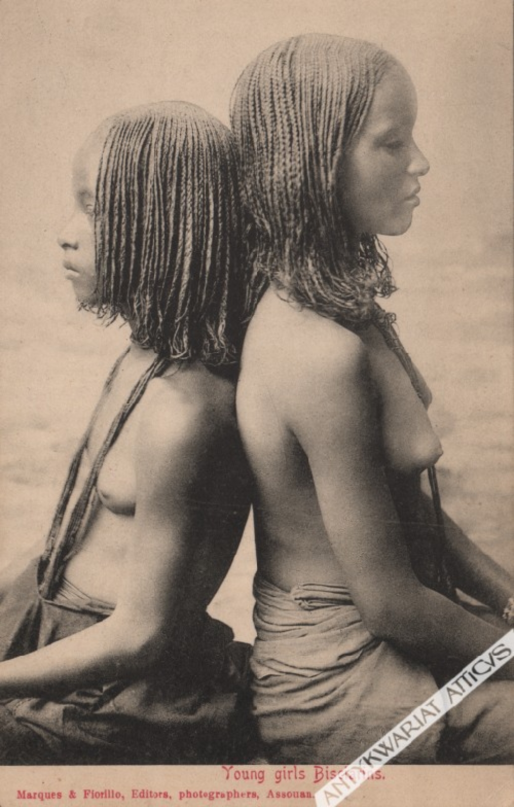 [pocztówka, ok. 1910] Young girls Bisciarins [Dziewczyny z plemienia Bishari]