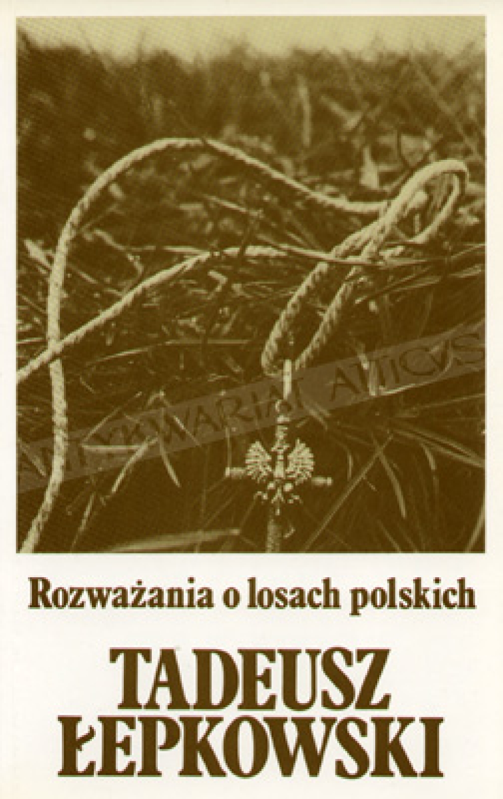 Rozważania o losach polskich