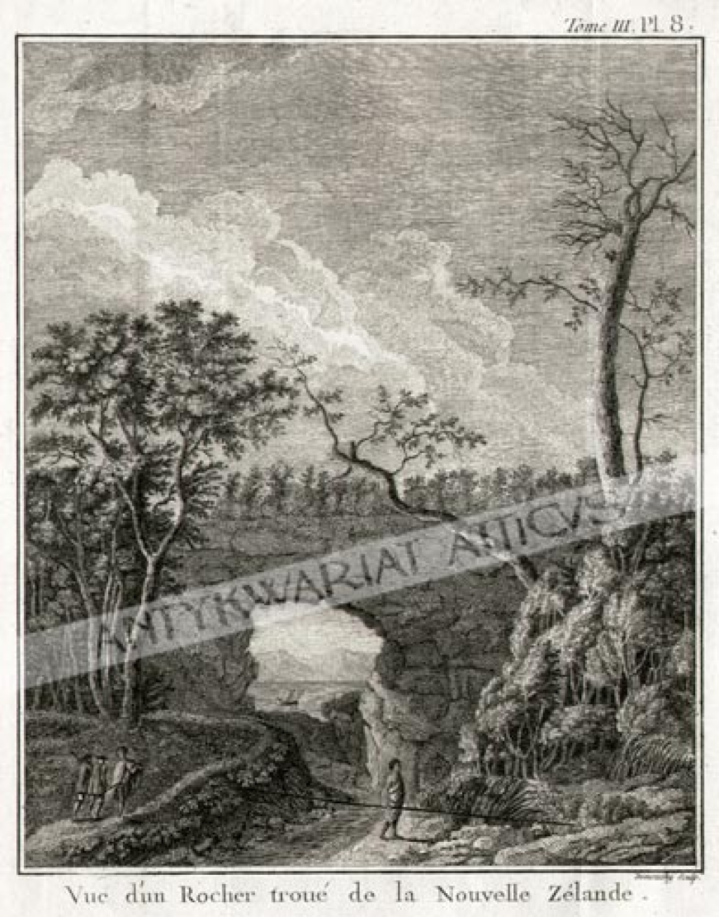 [rycina, 1774] Vue d'un Rocher troue de la Nouvelle Zelande. [Nowa Zelandia]