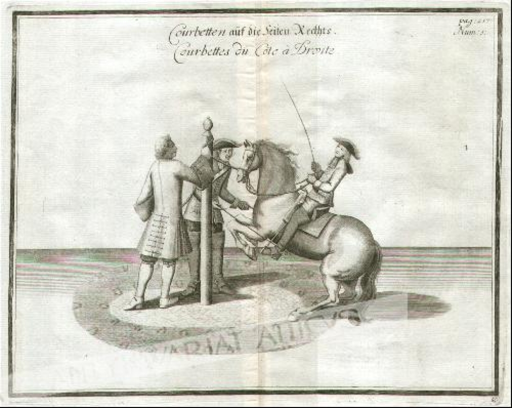 [rycina, ok. 1750] Courbetten auf die Seiten Rechts. Coubettes du Cote a Droite.