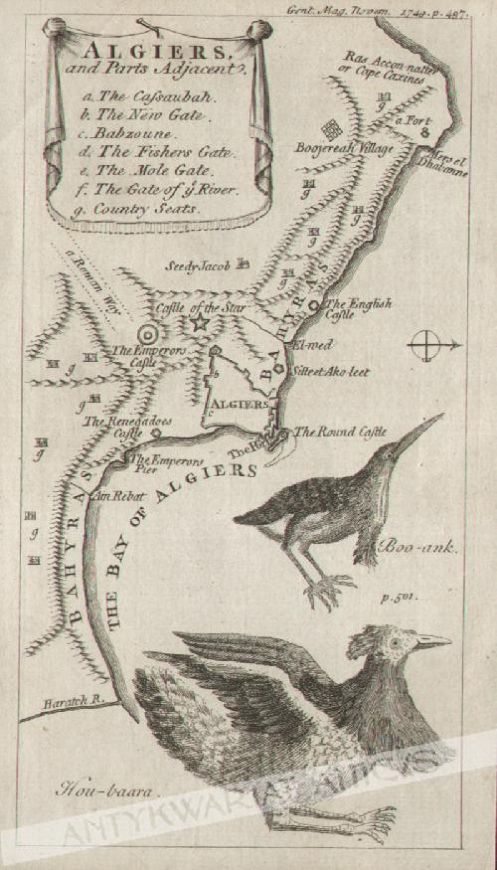 [mapa Algieru, 1749] Algiers, and Parts Adjacent