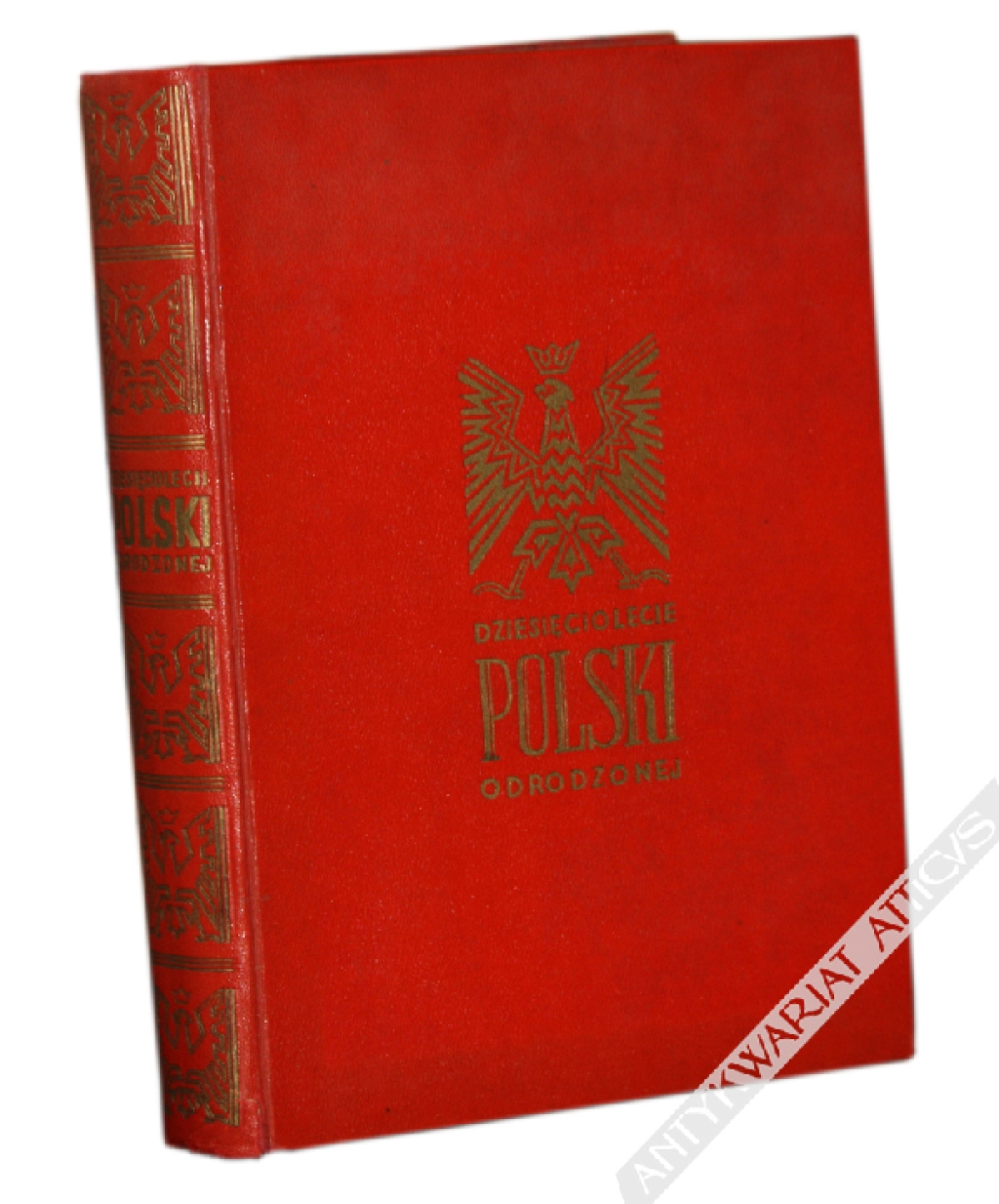 Dziesięciolecie Polski Odrodzonej. Księga pamiątkowa 1918-1928 
