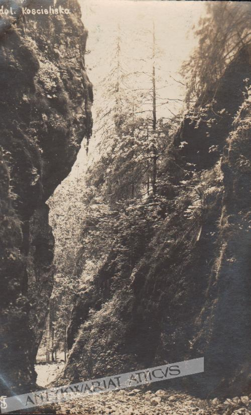 [fotografia na papierze pocztówkowym, ok.1925] Dolina Kościeliska