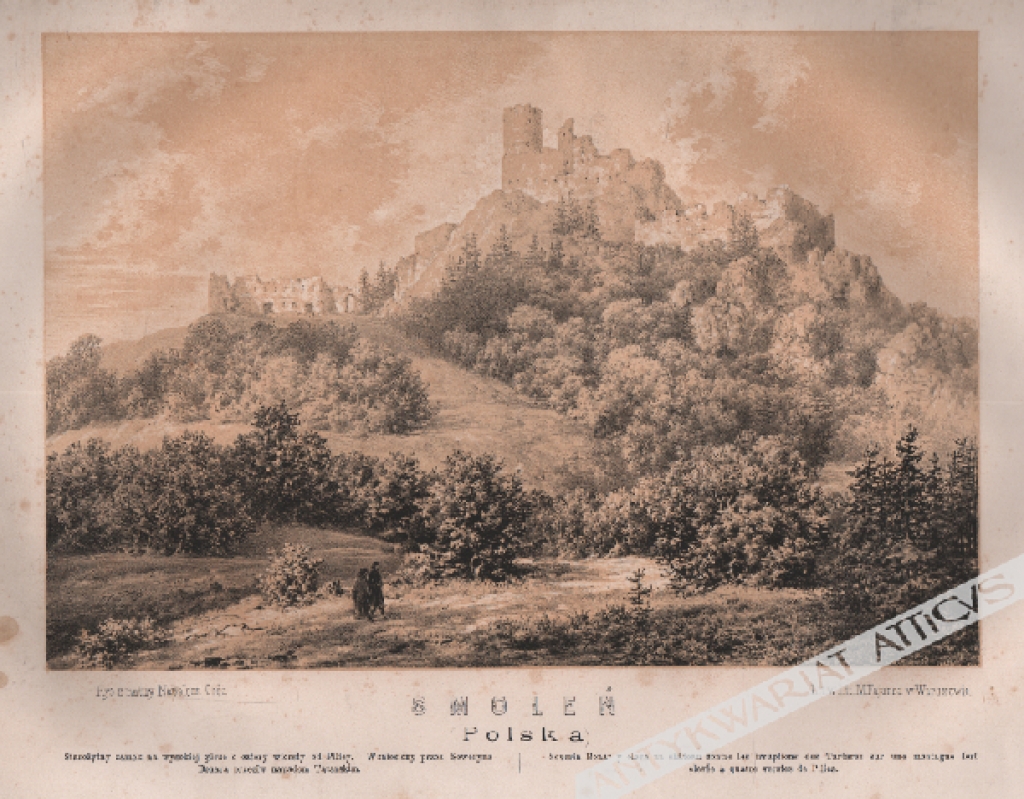 [rycina, 1873-1883] Smoleń (Polska) [zamek Pilcza]