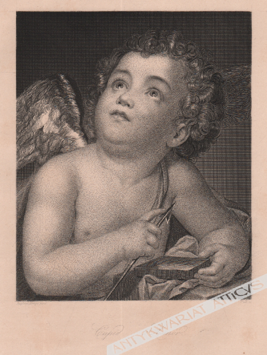 [rycina, ok. 1860] [Kupidyn] Cupid. Amor