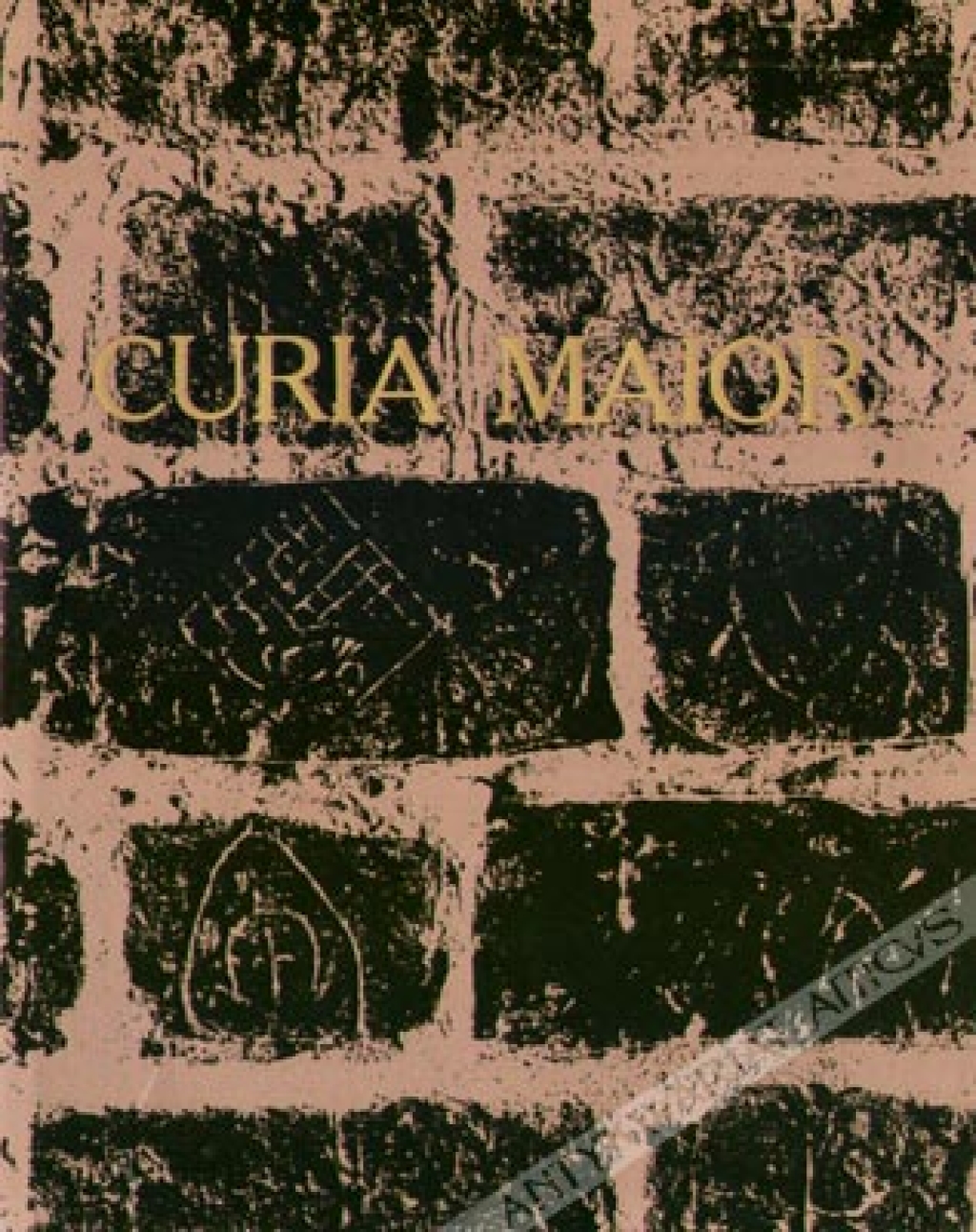 Curia Maior. Studia z dziejów kultury ofiarowane Andrzejowi Ciechanowieckiemu
