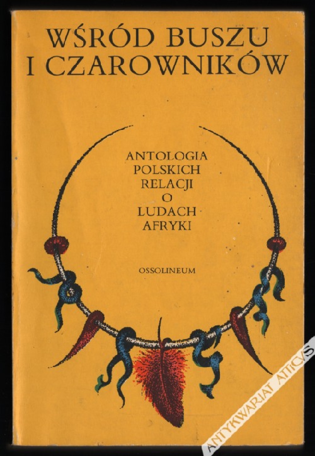 Wśród buszu i czarowników. Antologia polskich relacji o ludach Afryki