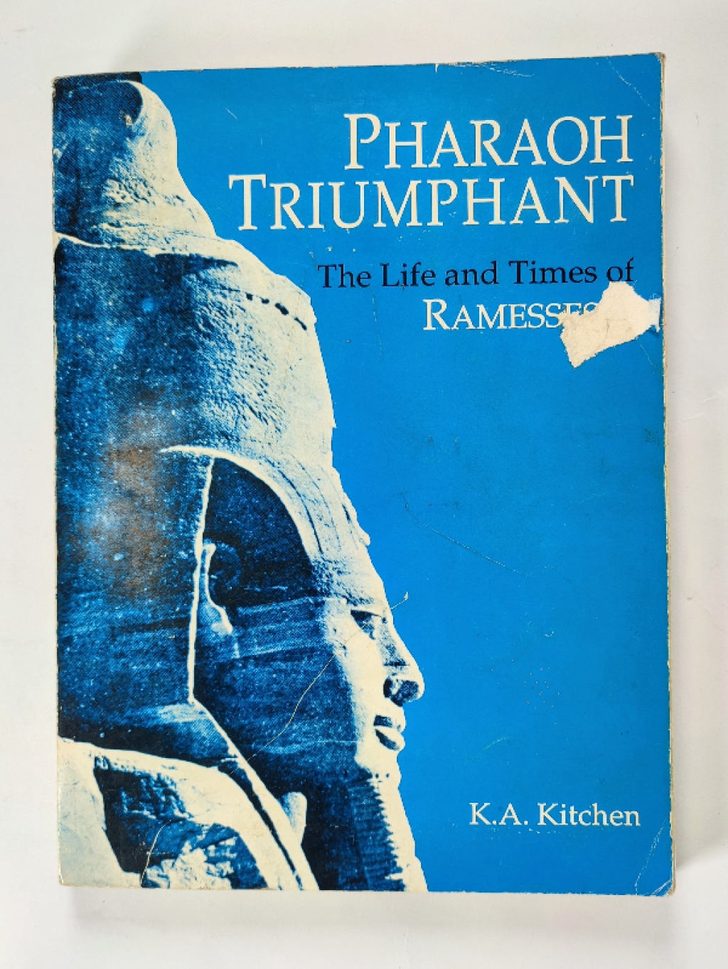 Pharaoh Triumphant. The Life and Times of Ramesses II