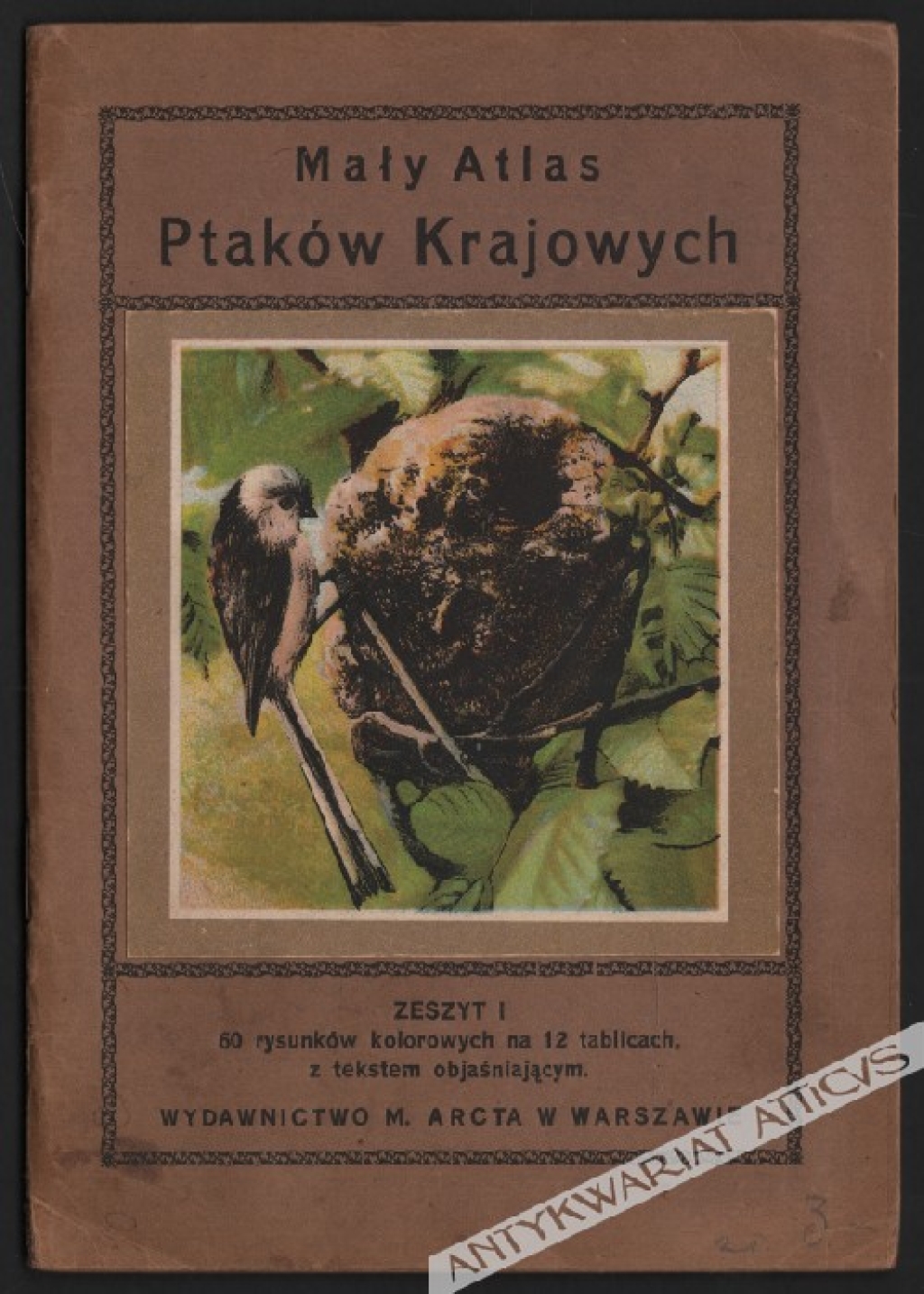 Mały atlas ptaków krajowych zeszyt I