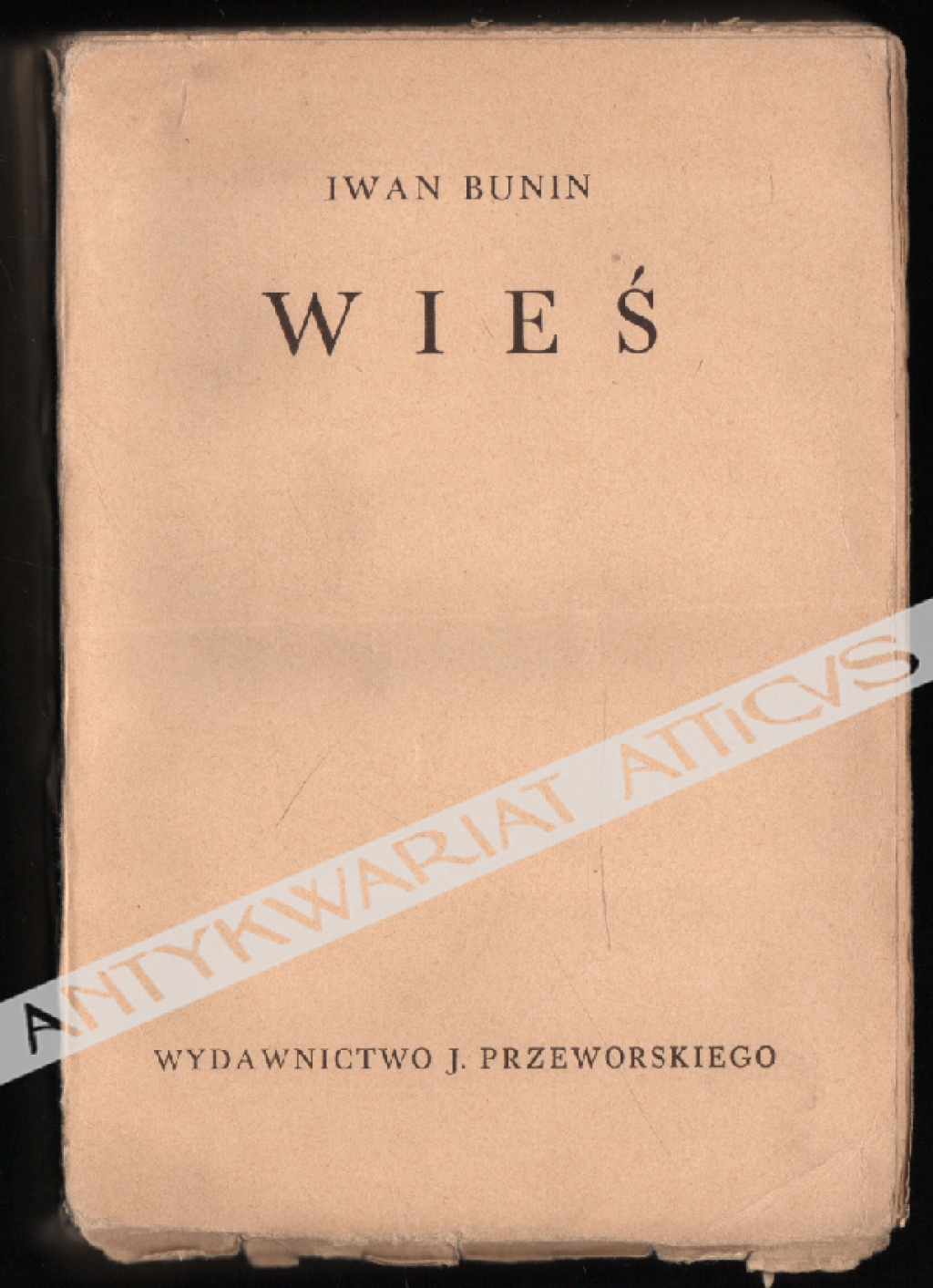 Wieś