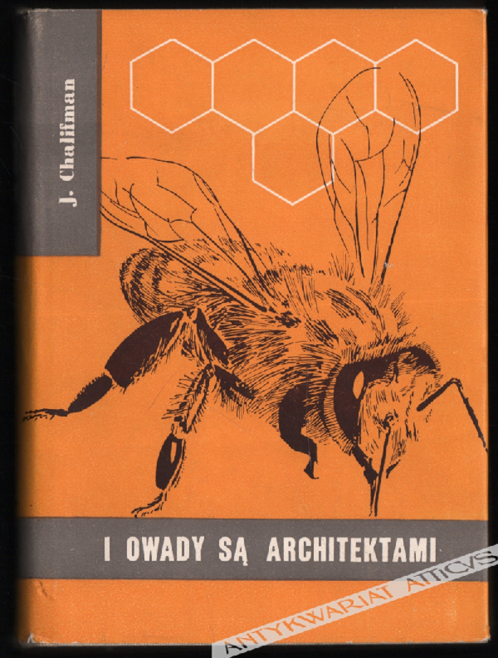 I owady są architektami