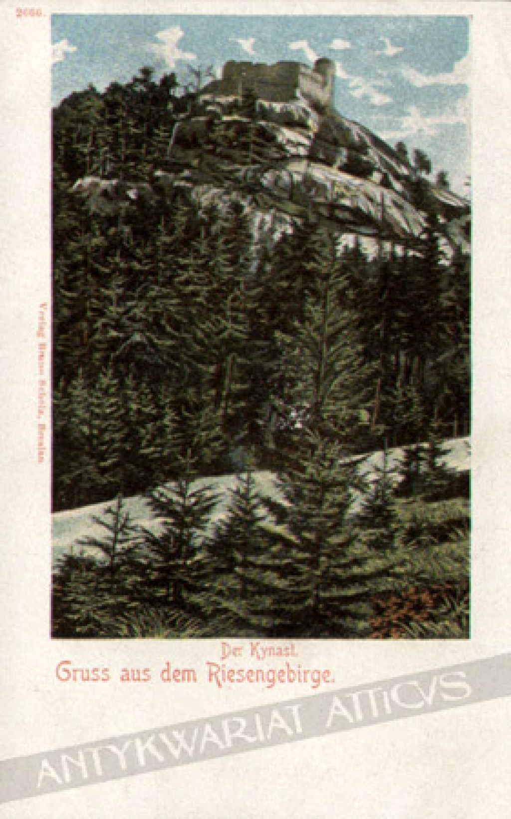 [pocztówka] der Kynast. Gruss aus dem Riesengebirge. [Zamek Chojnik. Karkonosze]