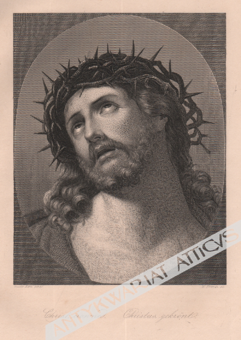 [rycina, ok. 1860] [Chrystus w cierniowej koronie] Christ crowned. Christus gekront