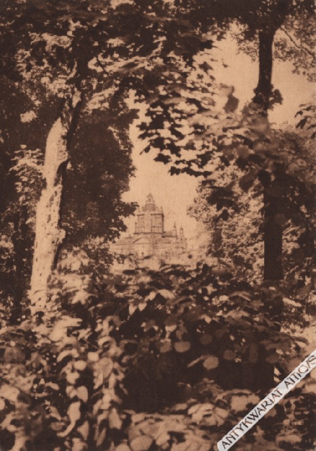 [pocztówka, lata 1920-te] Lwów. Widok z parku Kościuszki na katedrę św. Jura