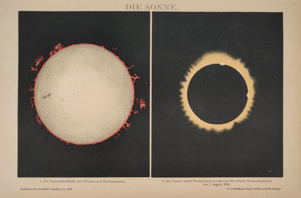 [rycina, 1898] Die Sonne. [protuberancje na słońcu]