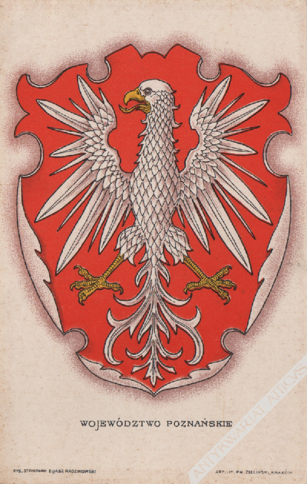 [pocztówka, ok. 1910] Województwo Poznańskie