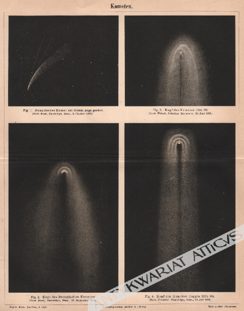 [rycina, 1895] Kometen [komety]