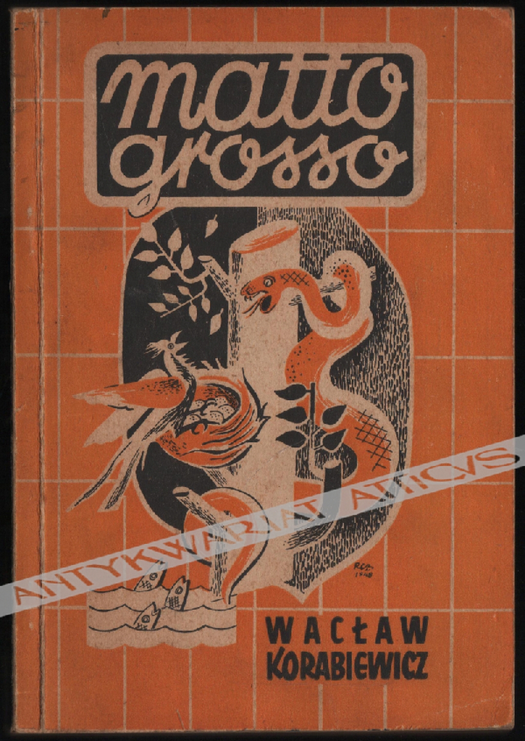 Matto Grosso. Z notatek wypychacza ptaków [pierwsze wydanie]