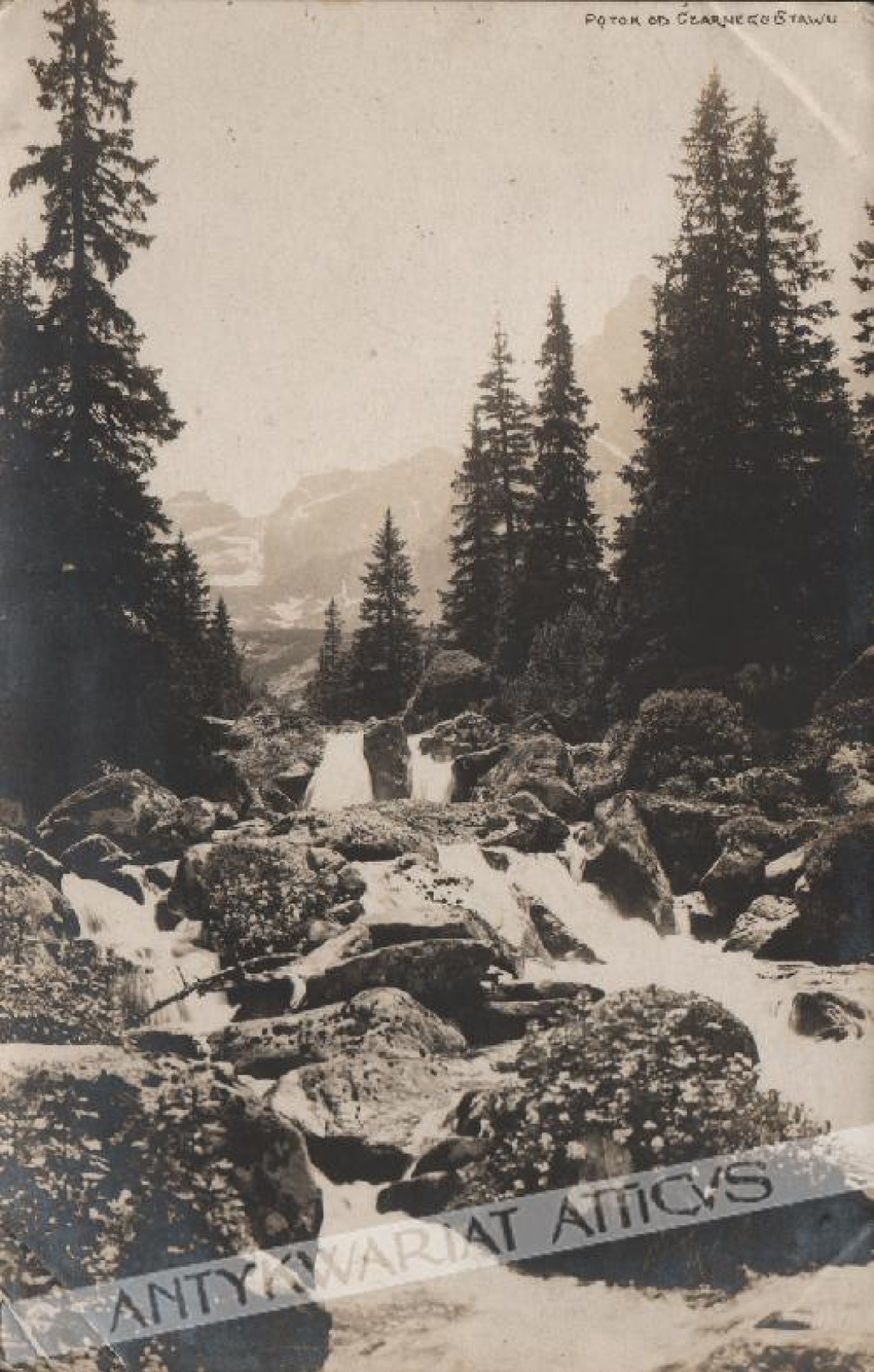 [fotografia na papierze pocztówkowym, ok. 1920] Potok od Czarnego Stawu