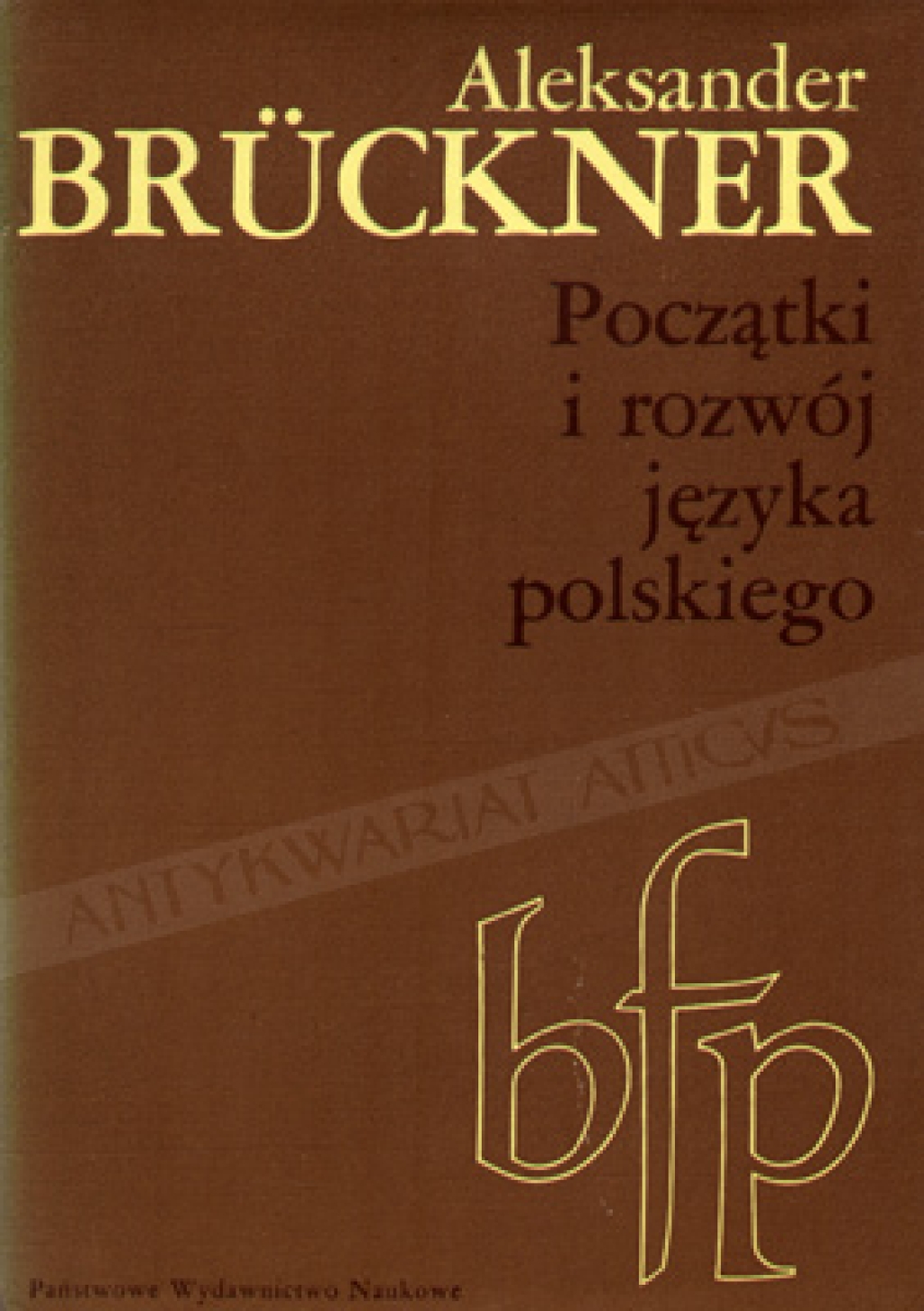 Początki i rozwój języka polskiego