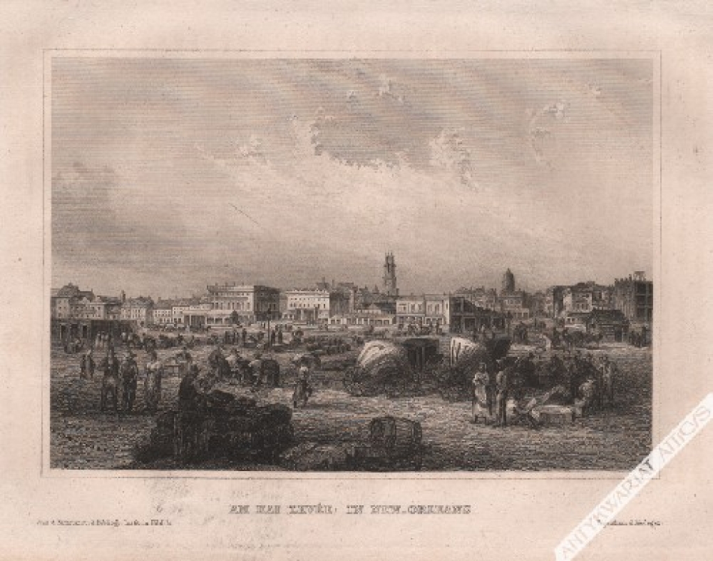 [rycina, 1860] Am Kai (Levee) in New. Orleans [Nowy Orlean]