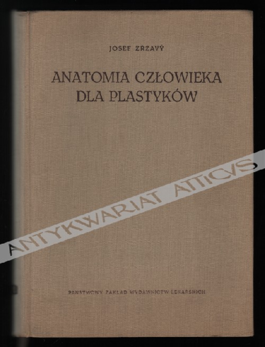 Anatomia człowieka dla plastyków