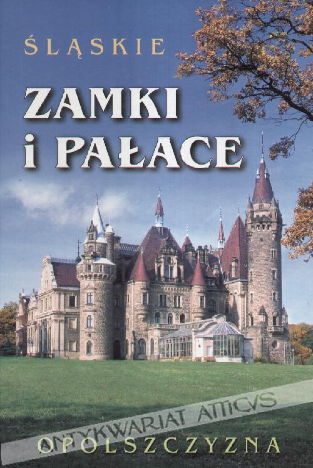 Śląskie zamki i pałace. Opolszczyzna. Historia zamków i pałaców. Dzieje rodów, legendy, herby