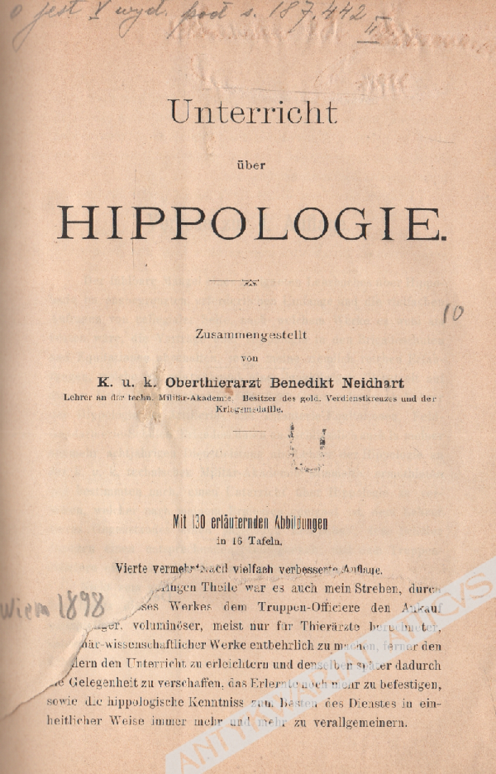 Unterricht über Hippologie