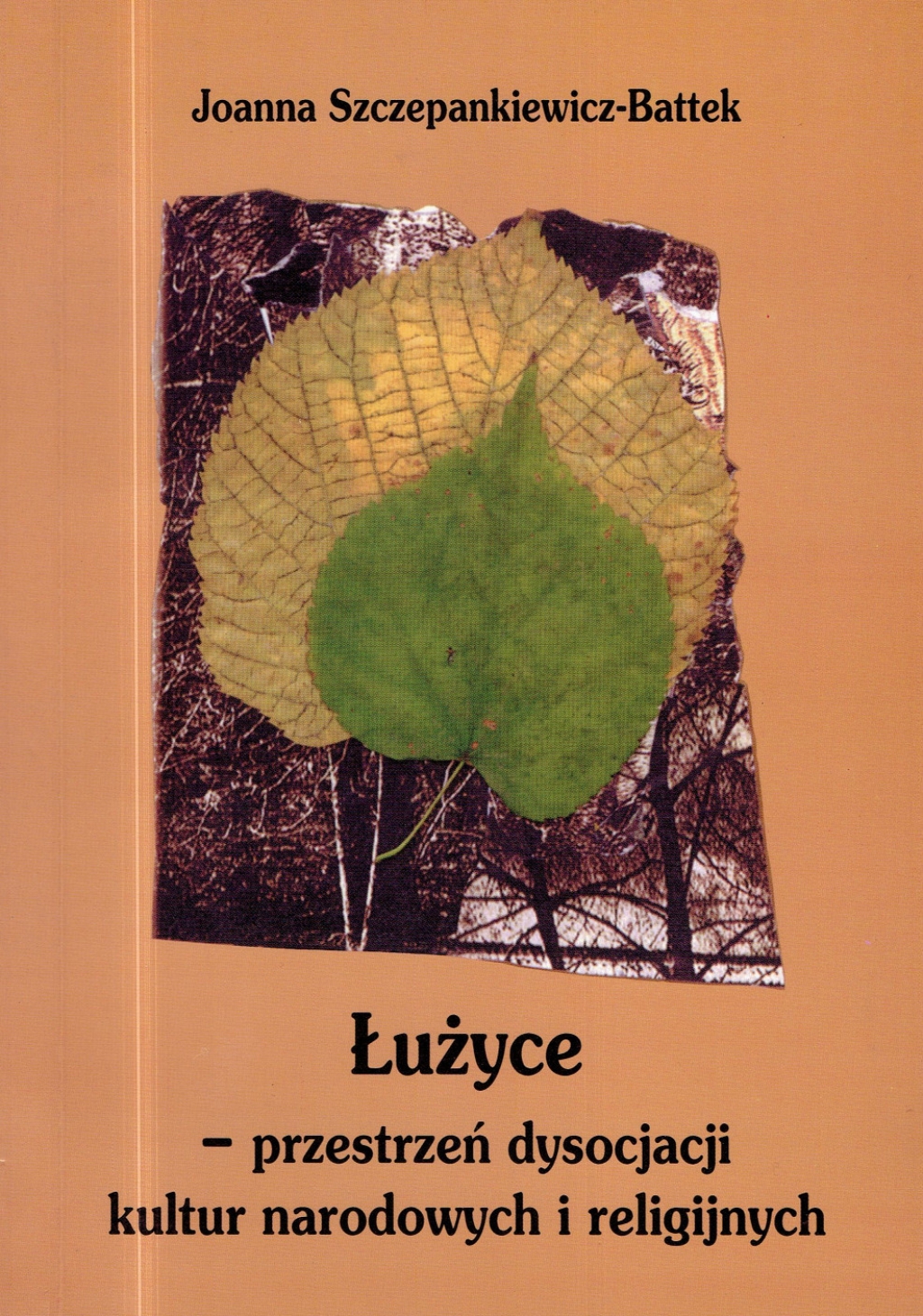 Łużyce - przestrzeń dysocjacji kultur narodowych i religijnych