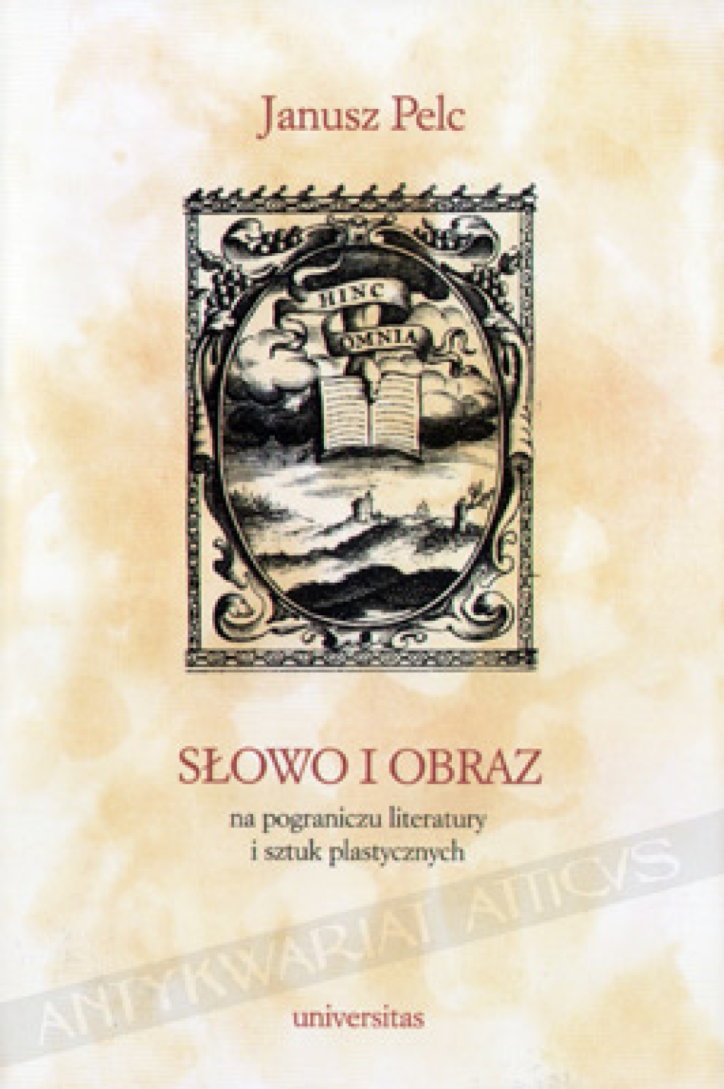 Słowo i obraz na pograniczu literatury i sztuk plastycznych