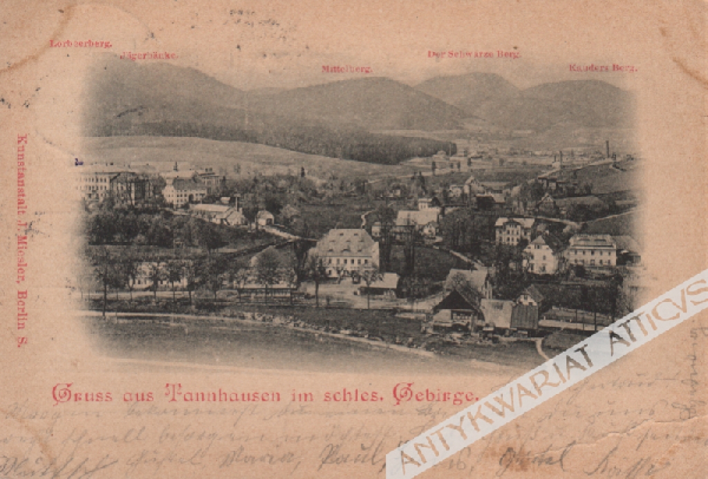 [pocztówka, 1899] Gruss aus Tannhausen im schles. Gebirge.  [Jedlina Zdrój, Dolny Śląsk]