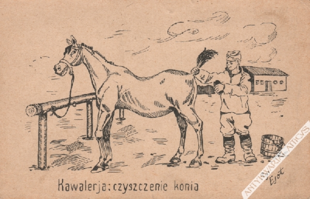 [pocztówka, lata 20-te] Kawalerja: czyszczenie konia