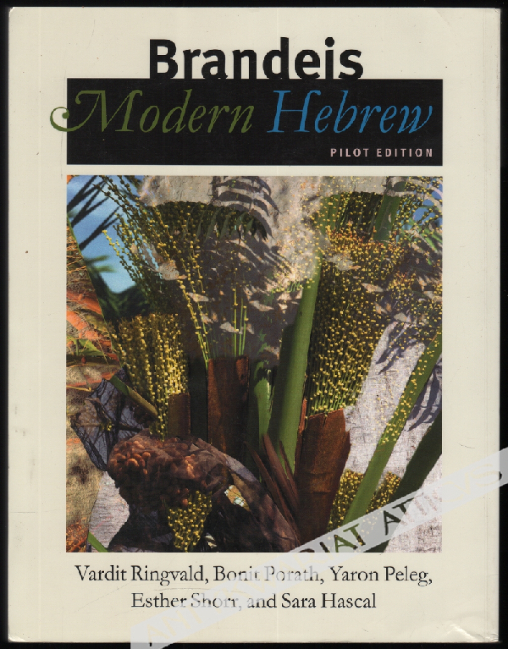Brandeis Modern Hebrew. Pilot edition