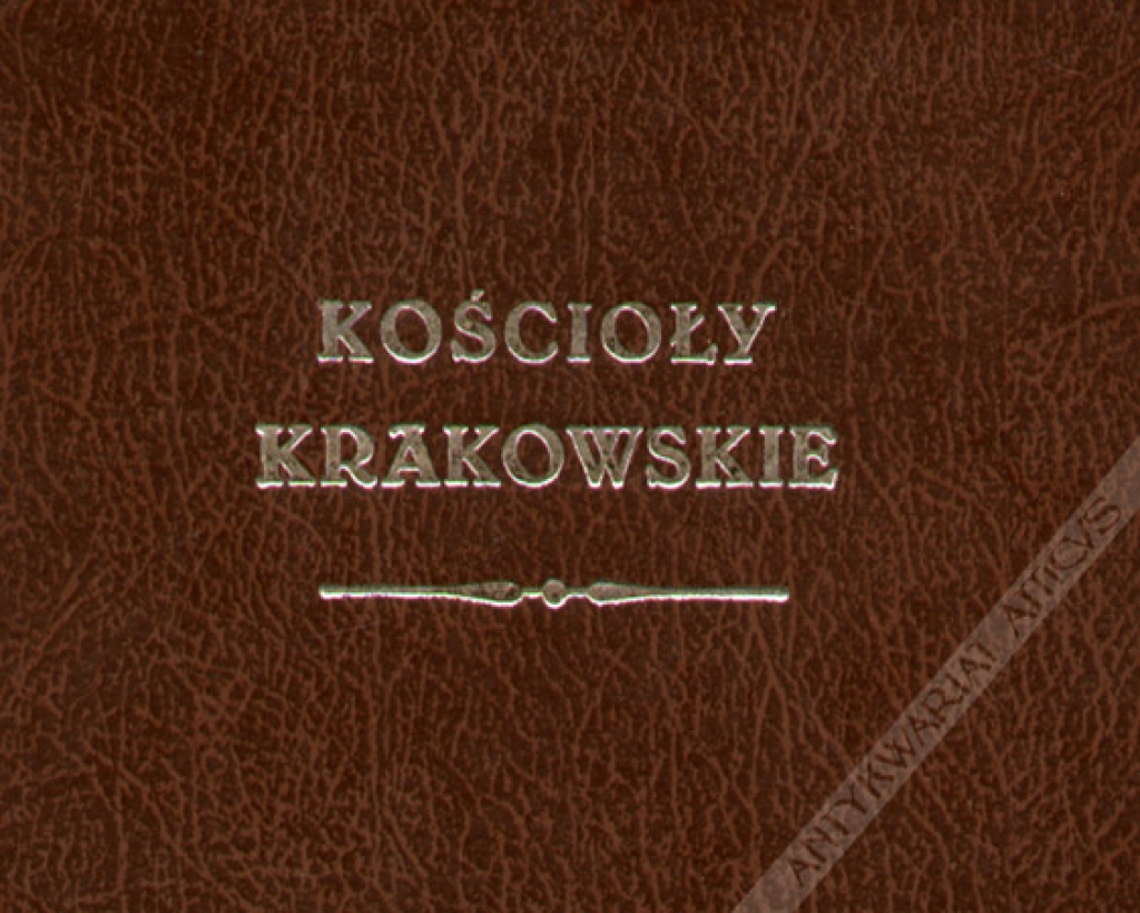 Kościoły krakowskie wydane w stalorytach z treściwym onych opisem [reprint]