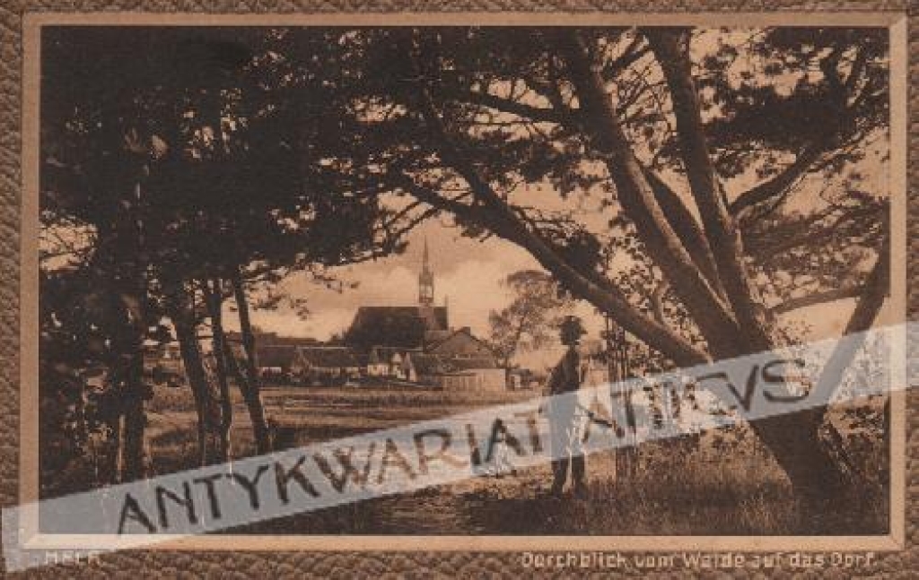 [pocztówka, 1907] Hela. Durchblick vom Walde auf das Dorf [Hel. Widok z lasu na miasteczko]